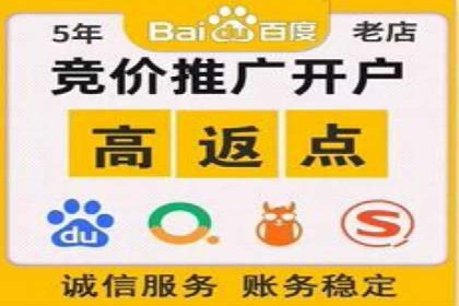 某品牌通过SEM竞价代运营公司实现品牌飞跃的历程